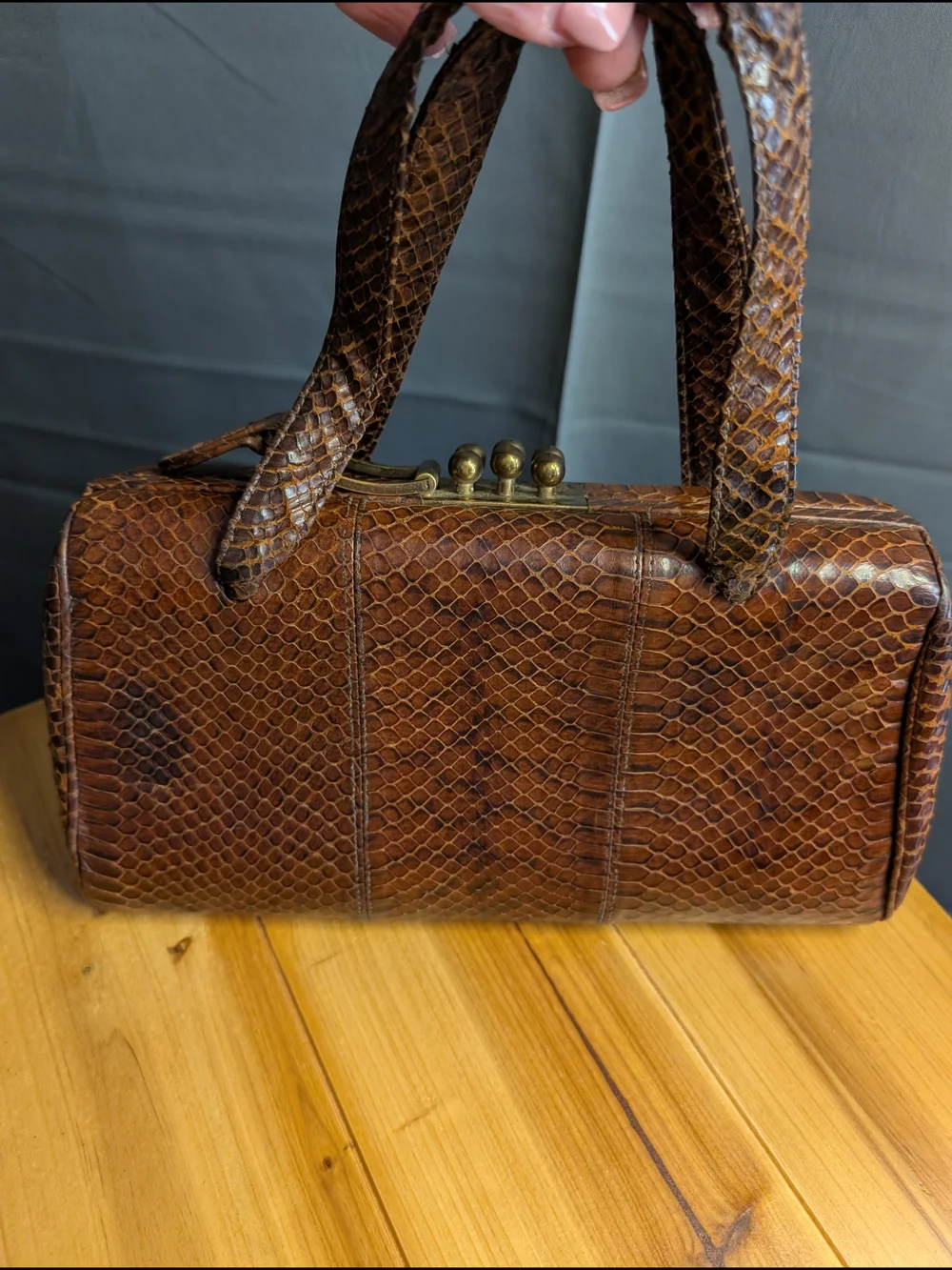 Vintage Ronay Genuine Snakeskin Reptile Leather Handbag Brass Hardware